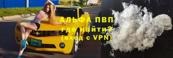 СК Алзамай
