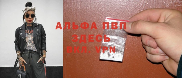 мет Алексин