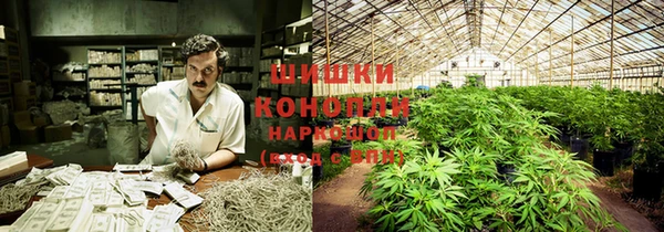 ПСИЛОЦИБИНОВЫЕ ГРИБЫ Алексеевка