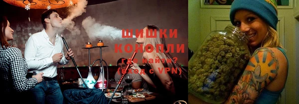 ПСИЛОЦИБИНОВЫЕ ГРИБЫ Алексеевка